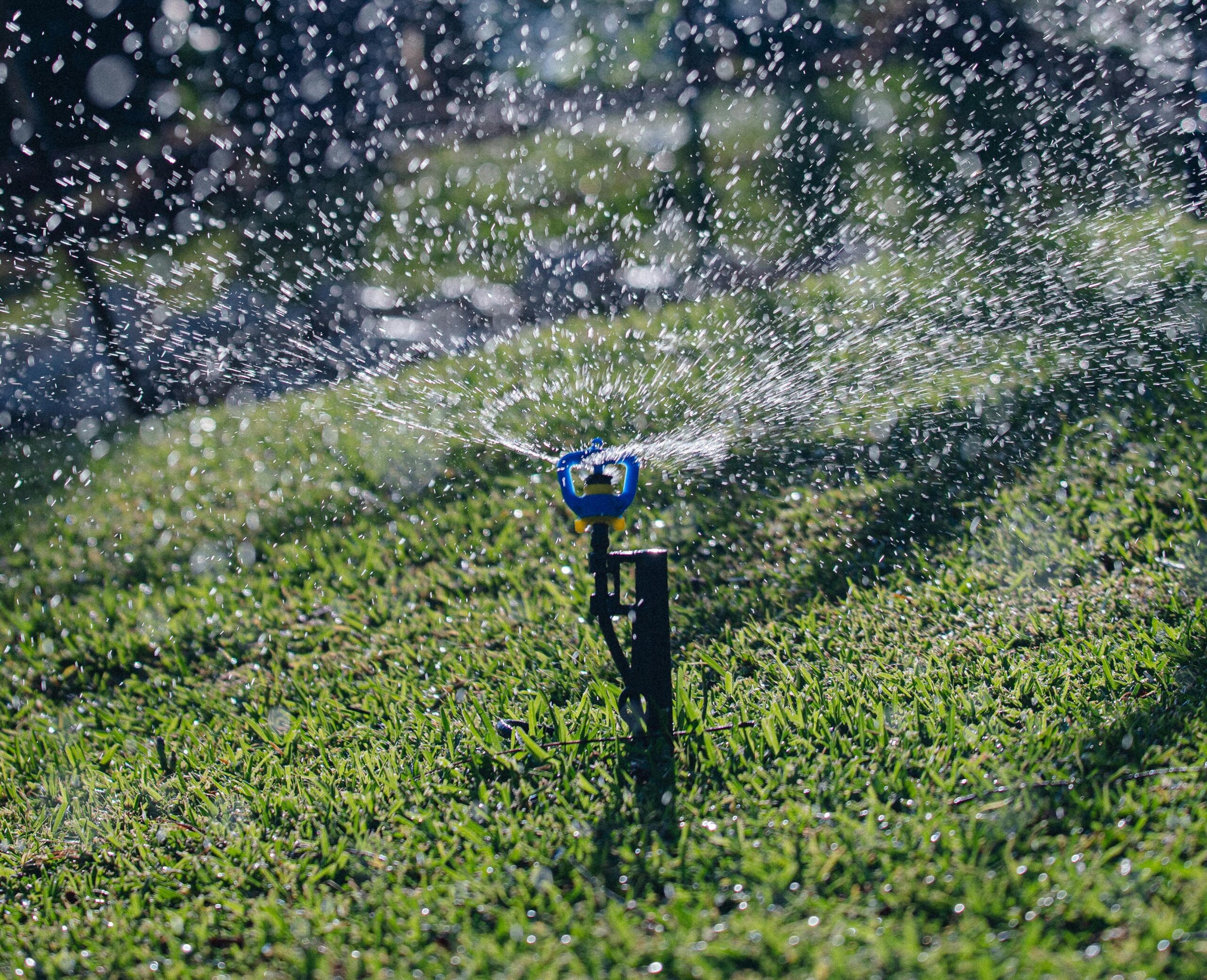 Landscape irrigation service in Stuart, Florida