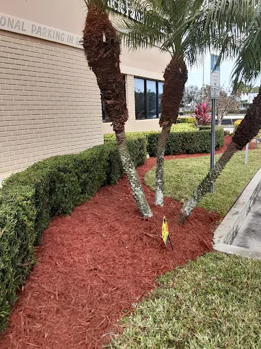 Fresh mulch and planting bed improvement