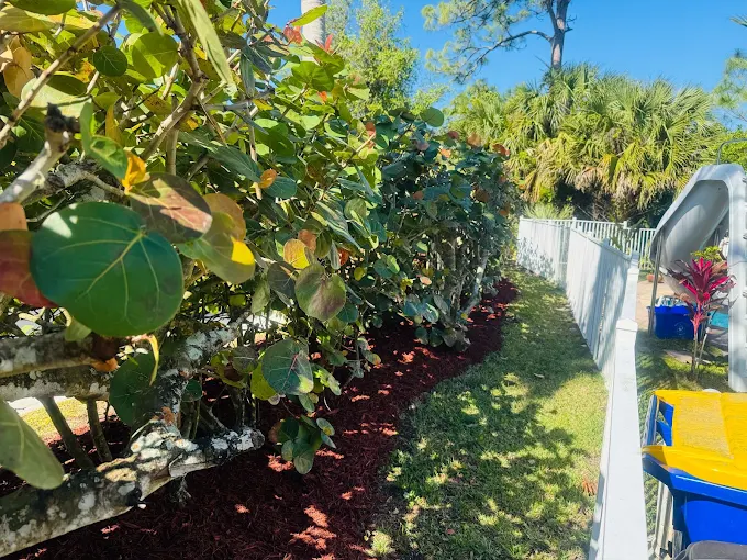 Maintained lawn and tropical landscaping in Stuart, Florida