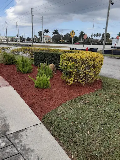New landscape installation in Stuart, Florida