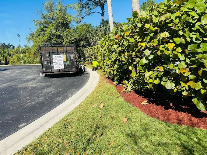 Commercial landscape maintenance project
