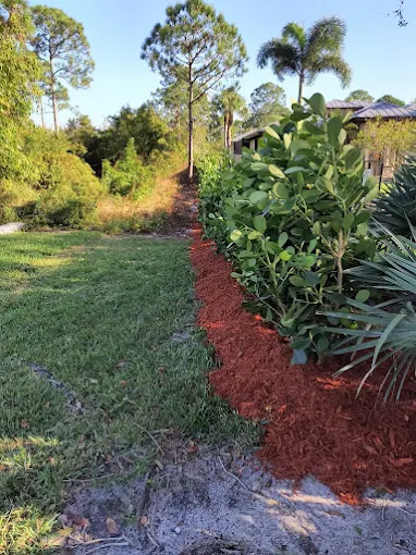 Residential landscape improvement in Stuart