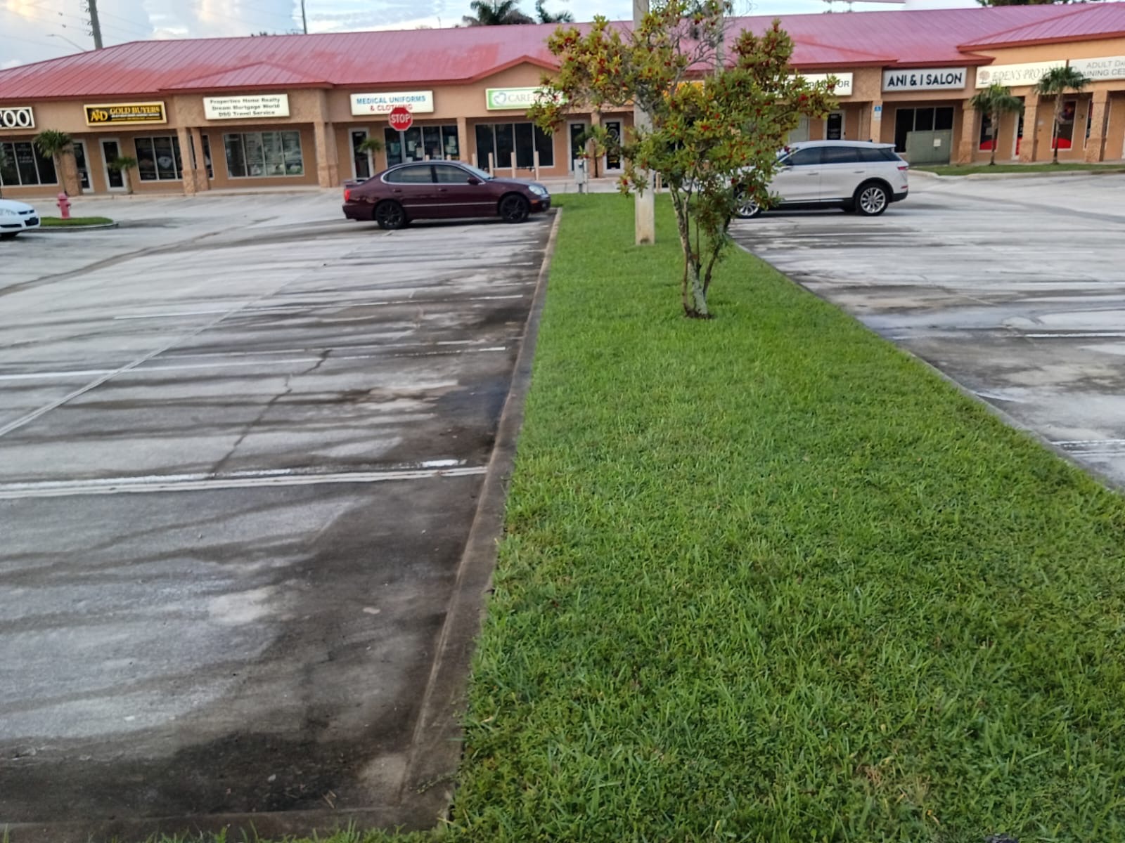 Recent landscaping work in the Stuart area