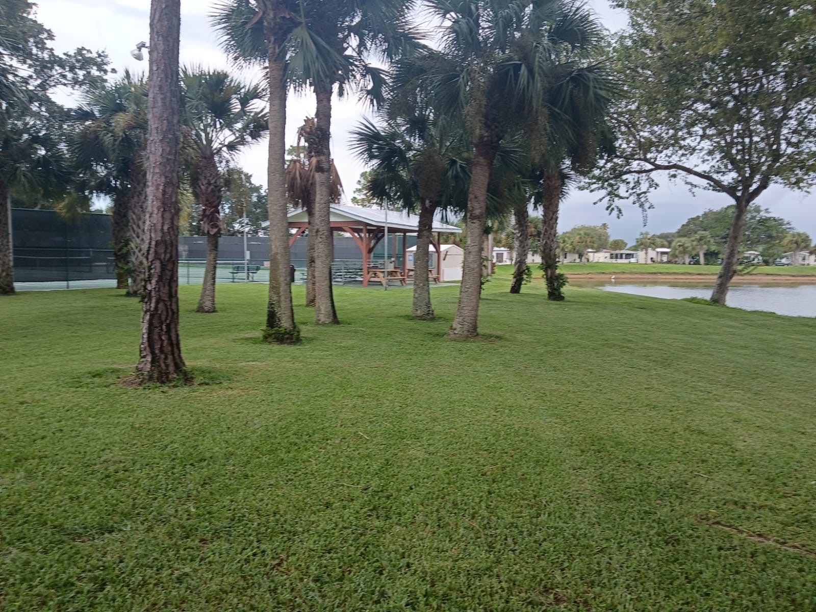 Recent landscaping project by Pelletier's Lawn Landscape Inc. — newest project photo 16