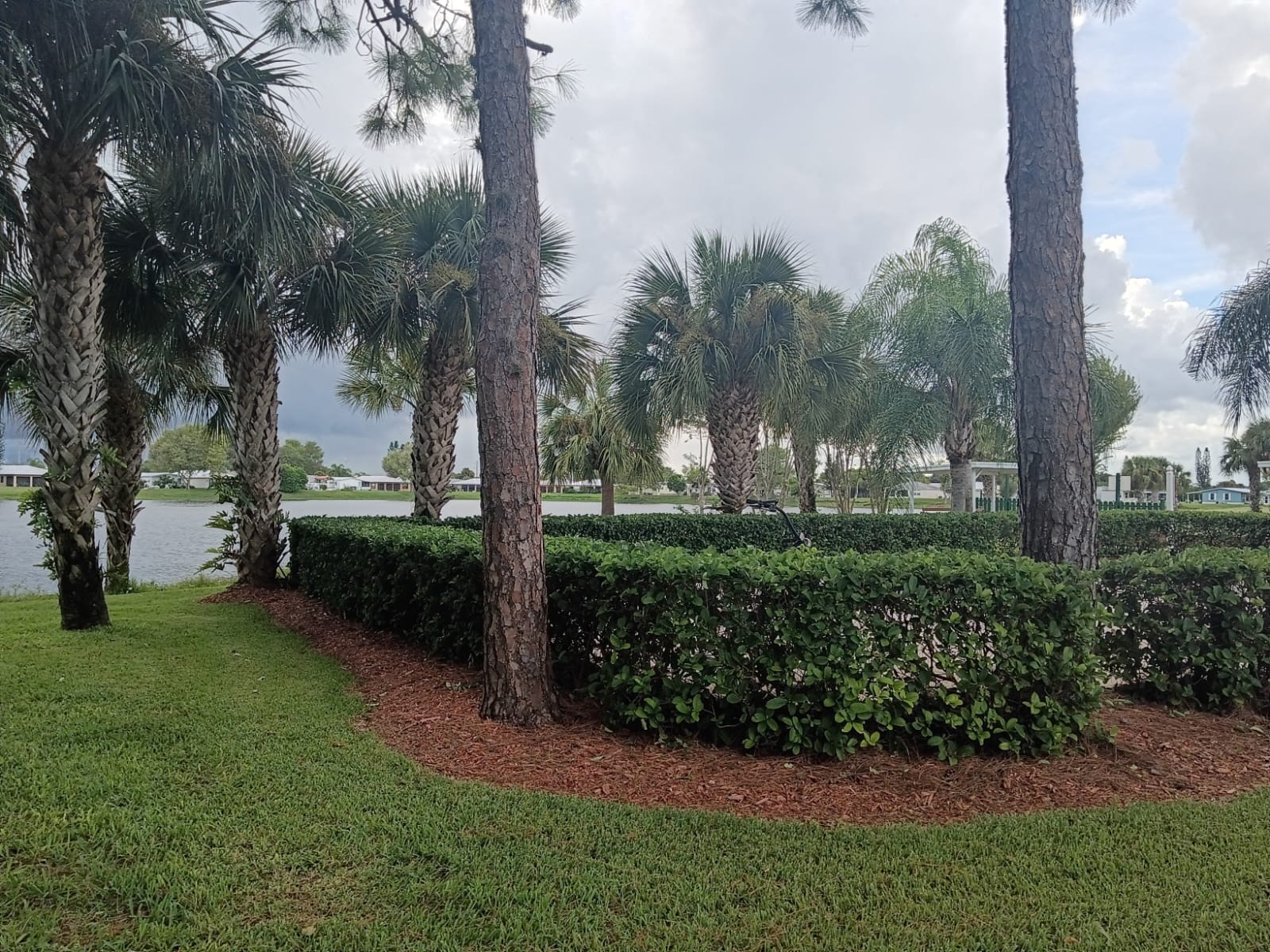 Recent landscaping project by Pelletier's Lawn Landscape Inc. — newest project photo 20