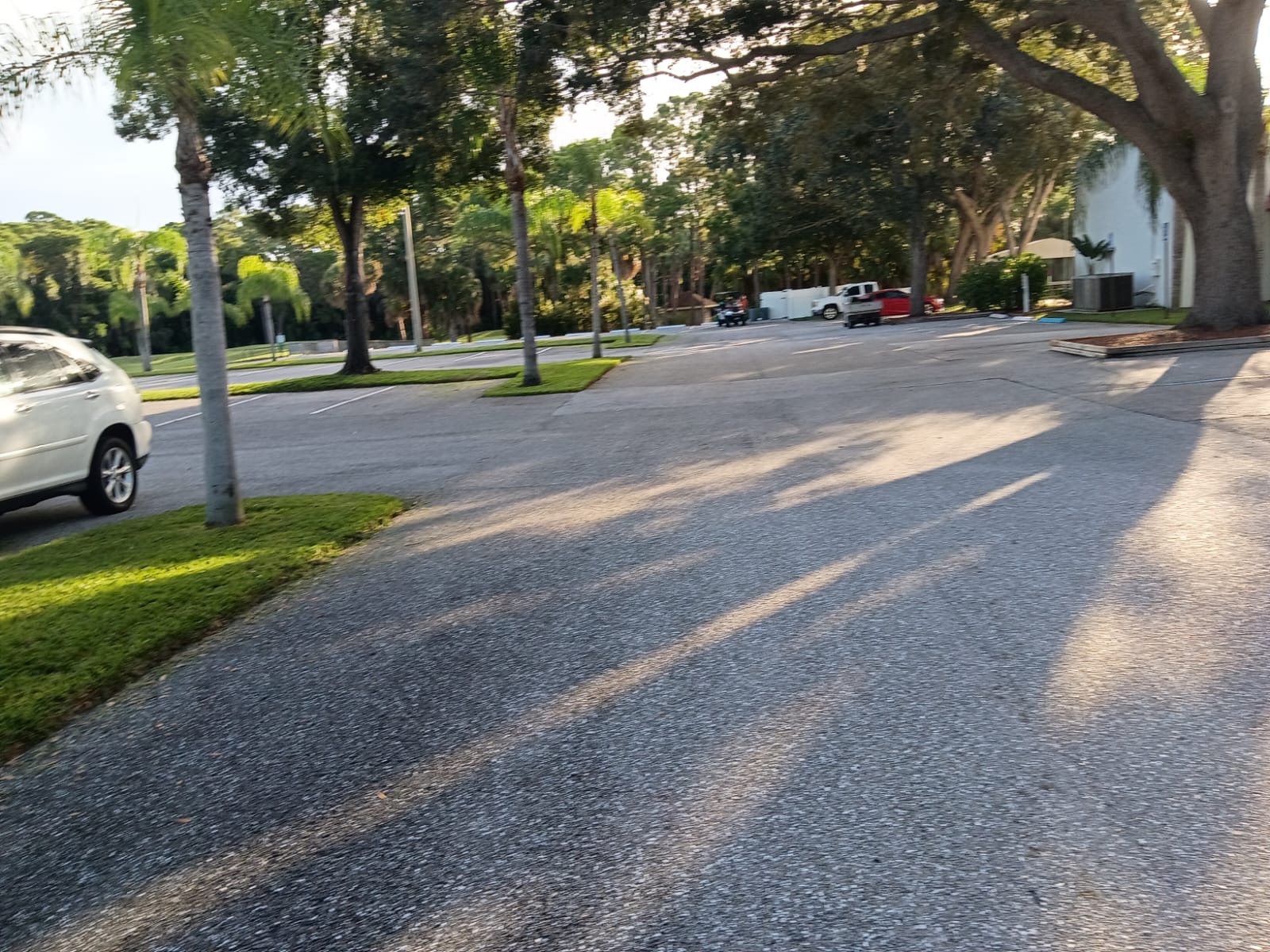 Recent landscaping project by Pelletier's Lawn Landscape Inc. — project photo 6
