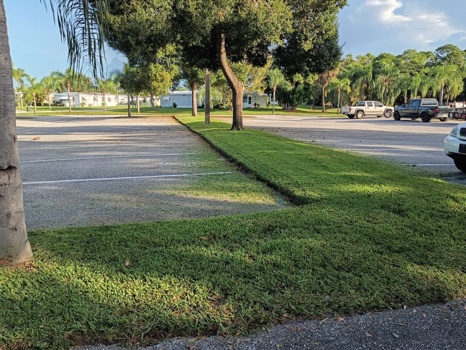 Recent landscaping project by Pelletier's Lawn Landscape Inc. — project photo 5